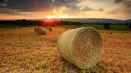 Active Wealth Partners sunset hay fields slider image