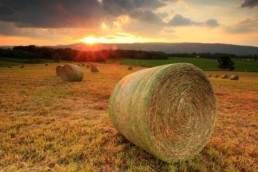 Active Wealth Partners sunset hay fields slider image